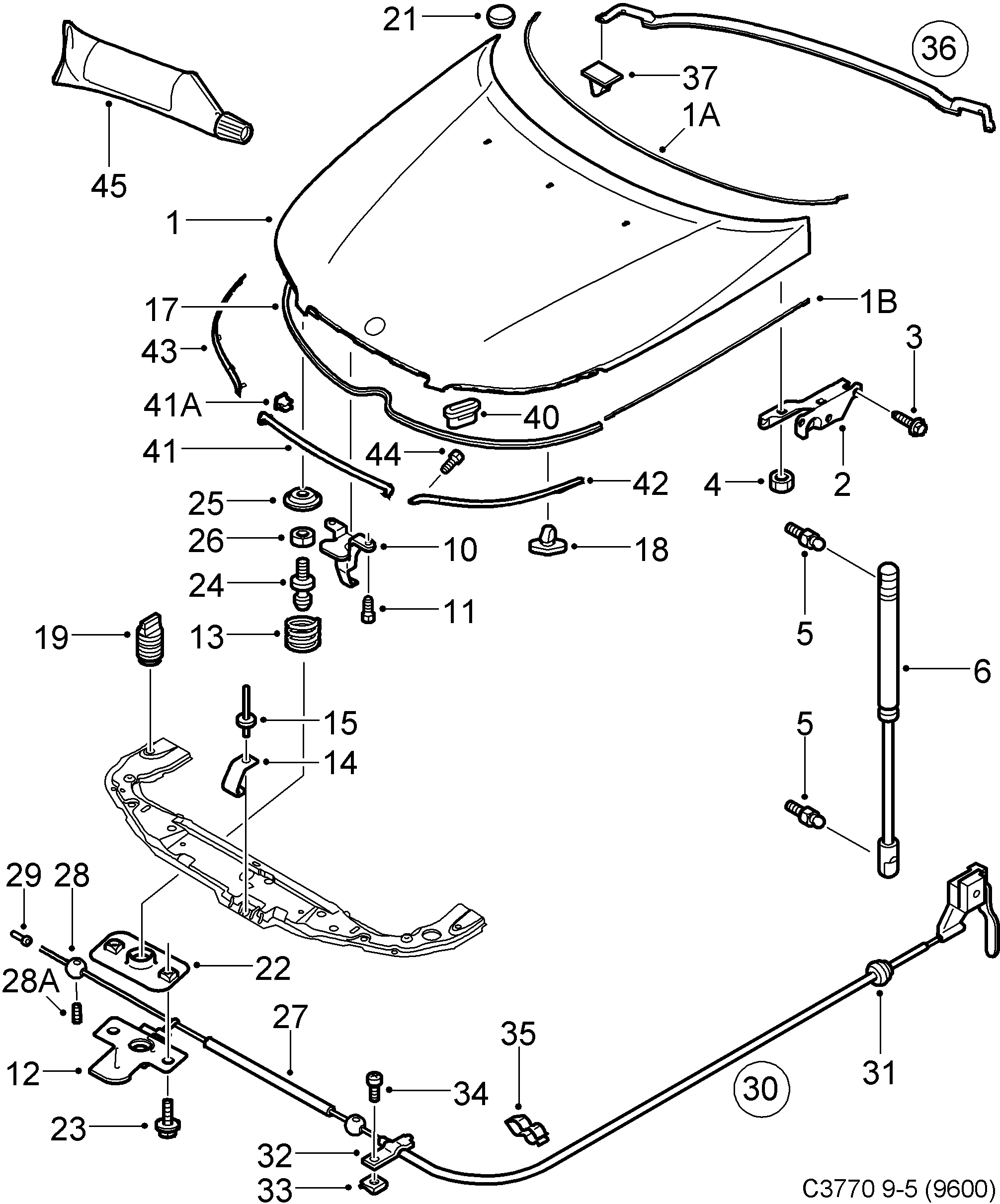 Saab 9-5 (9600) Hood diagram
